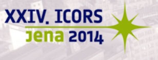 XXIV International conference on Raman spectroscopy