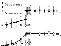 СВЧ диэлектрическая модель влажной среднеглинистой почвы, учитывающая физическую природу фазовых переходов воды в процессах замерзания и оттаивания